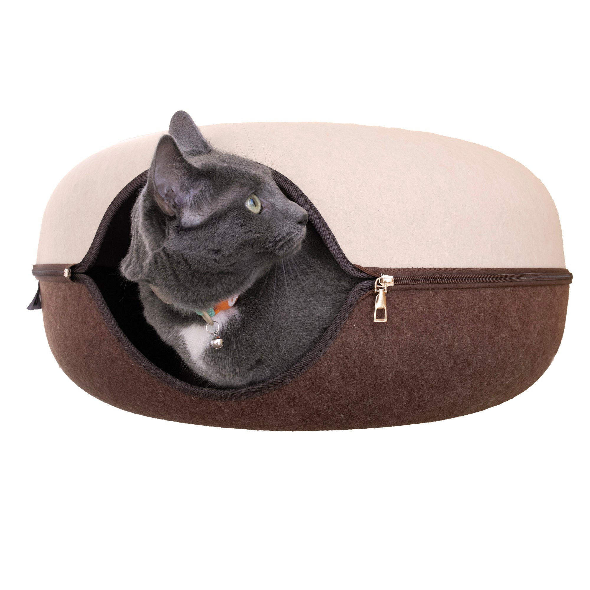 #color_Chocolate & Cream