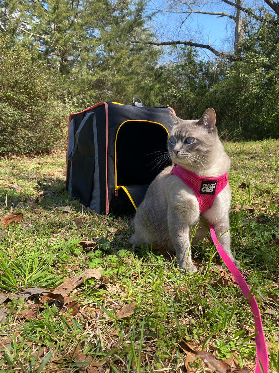 The Road Trip Collection