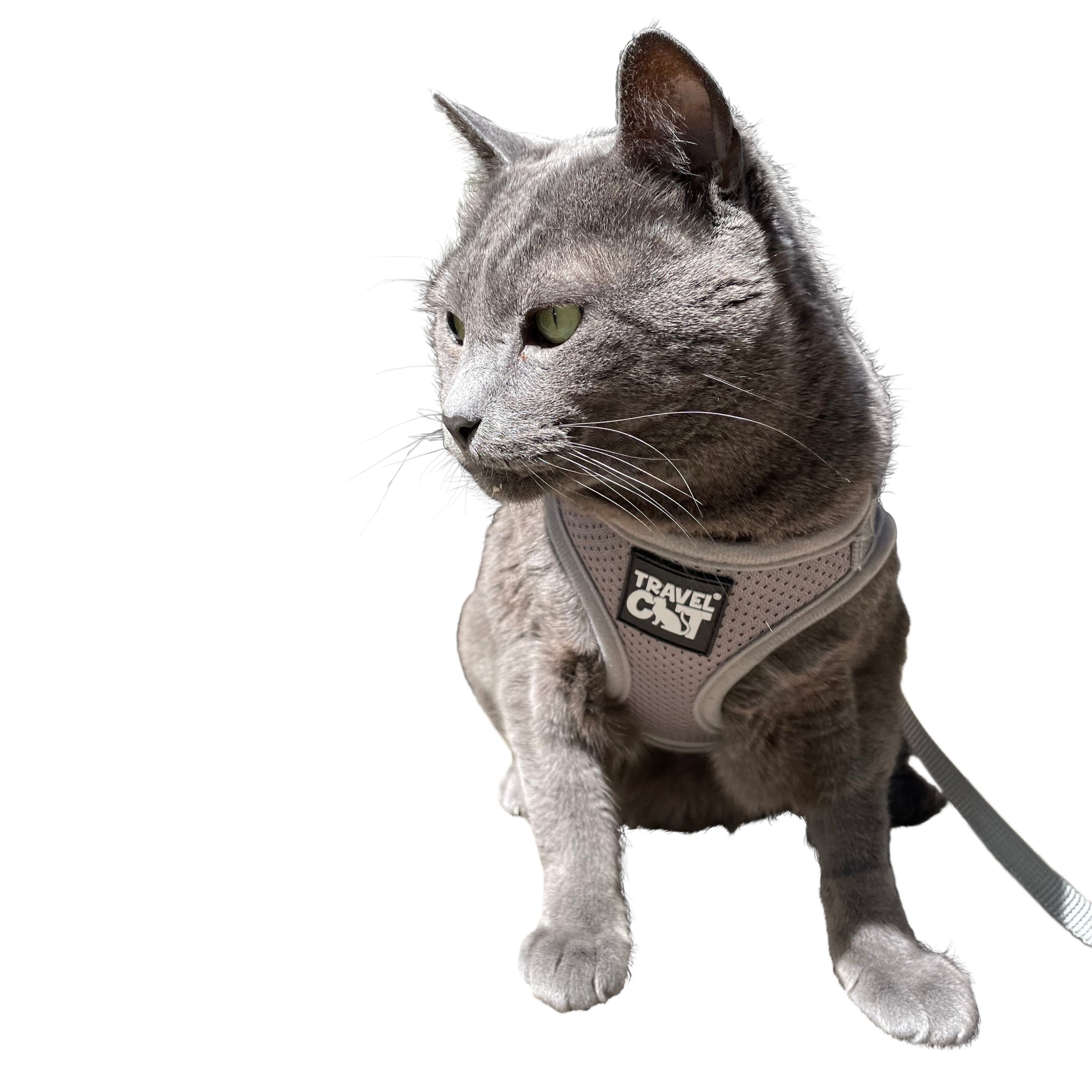 The Grey True Adventurer" Reflective Cat & Kitten Harness and Leash