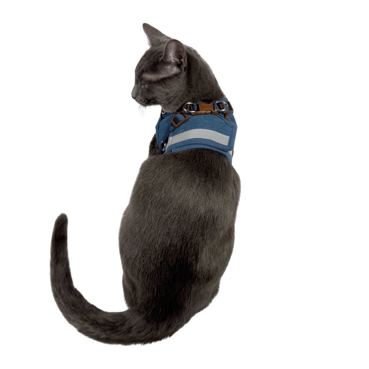 Trailblazer Set Bundle