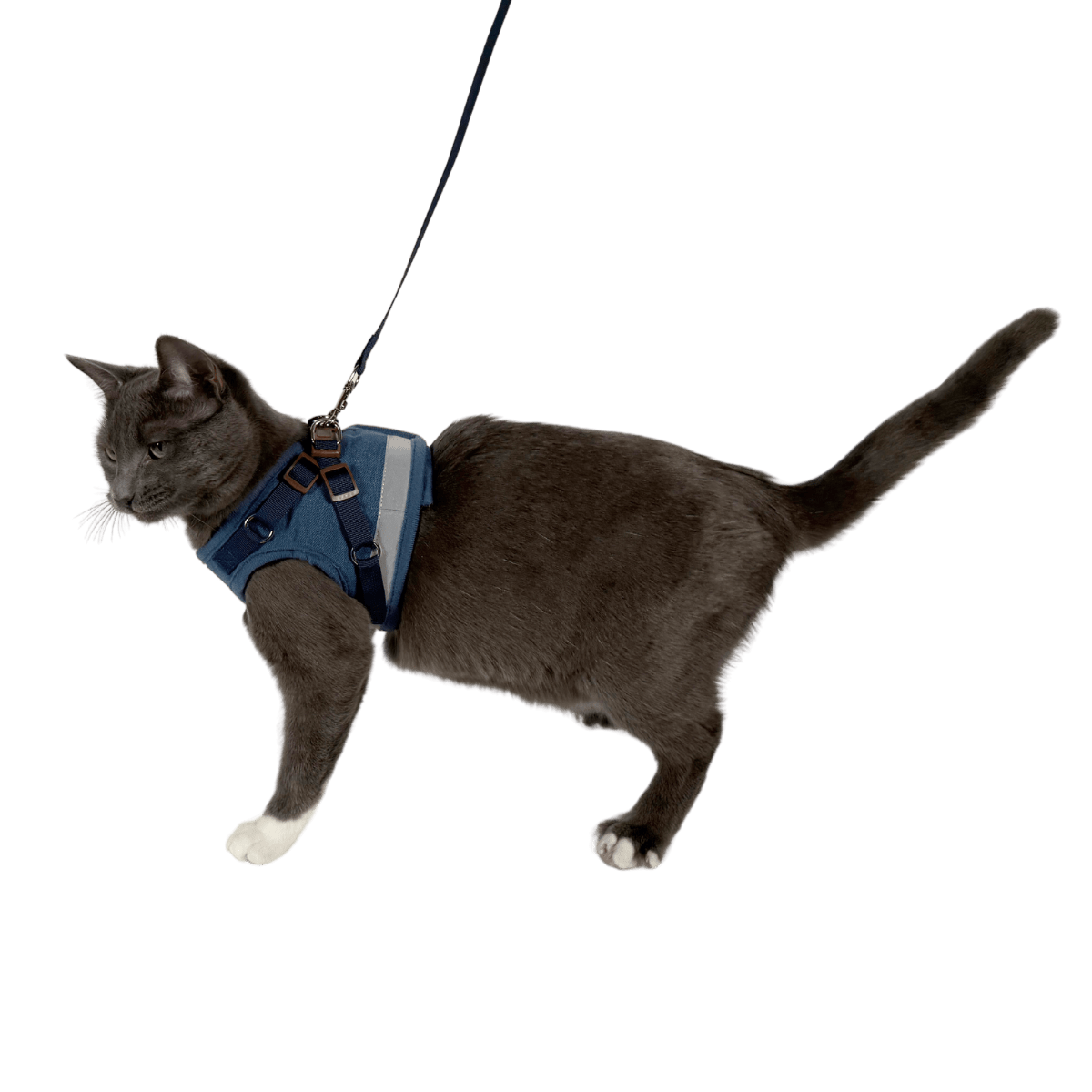 Urban Nomad Set Bundle