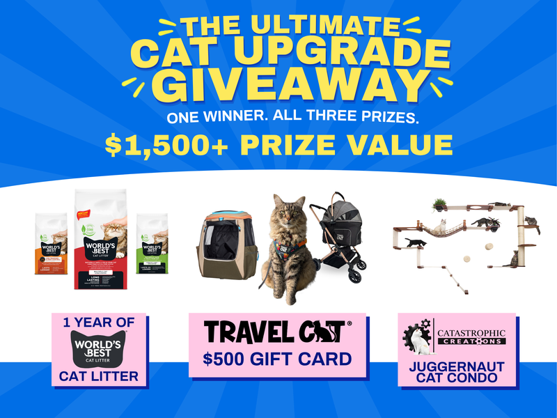 Giveaway