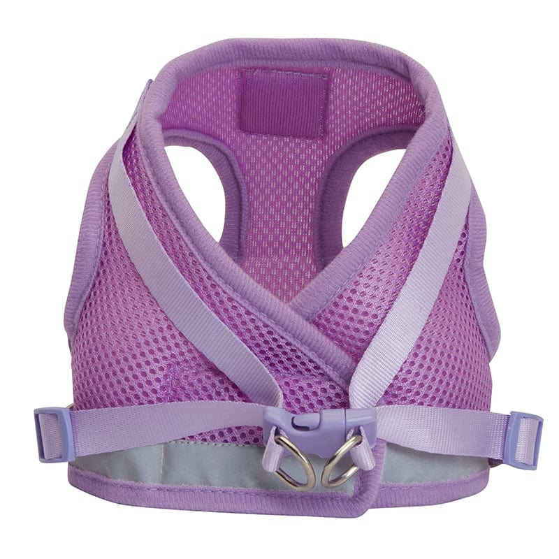 "The True Adventurer" Reflective Cat & Kitten Harness and Leash