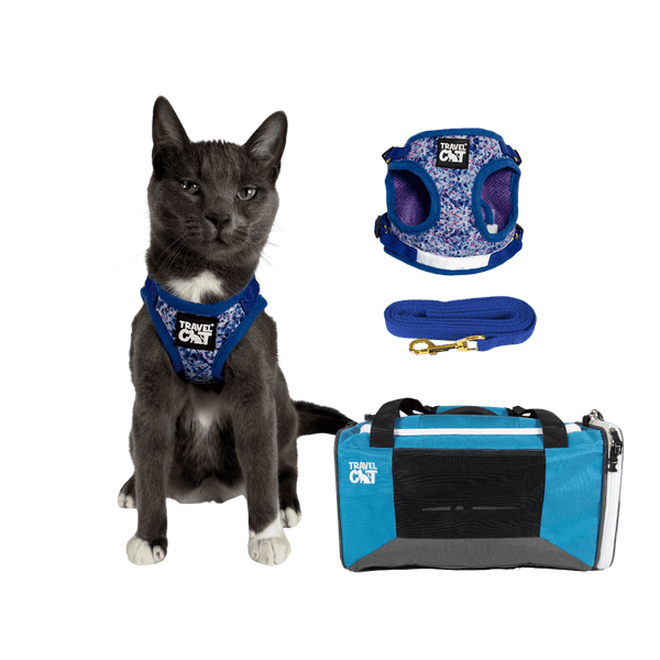 Feline Groovy Bundle