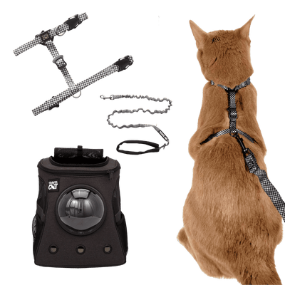 Meowtor City Cruiser Bundle