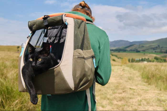 Cat Backpack Carrier for Travel & Hiking | The Navigator