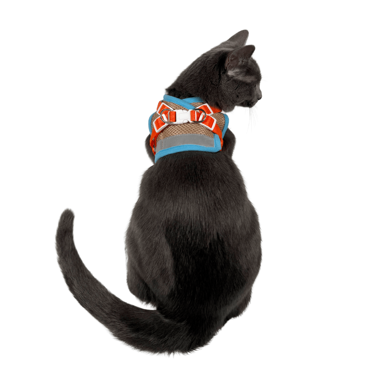 Desert Sky Explorer Bundle