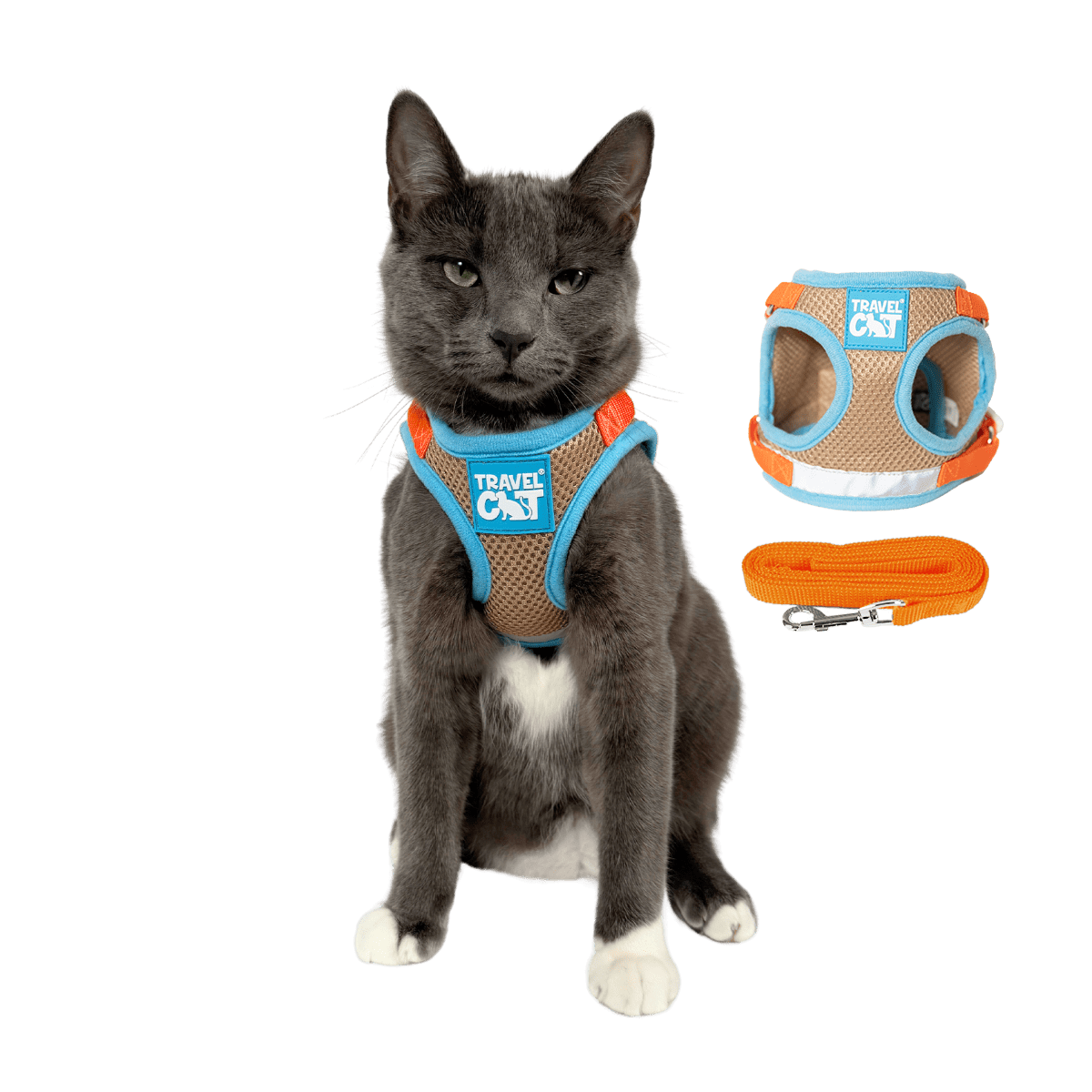 "The True Adventurer" Reflective Cat & Kitten Harness and Leash