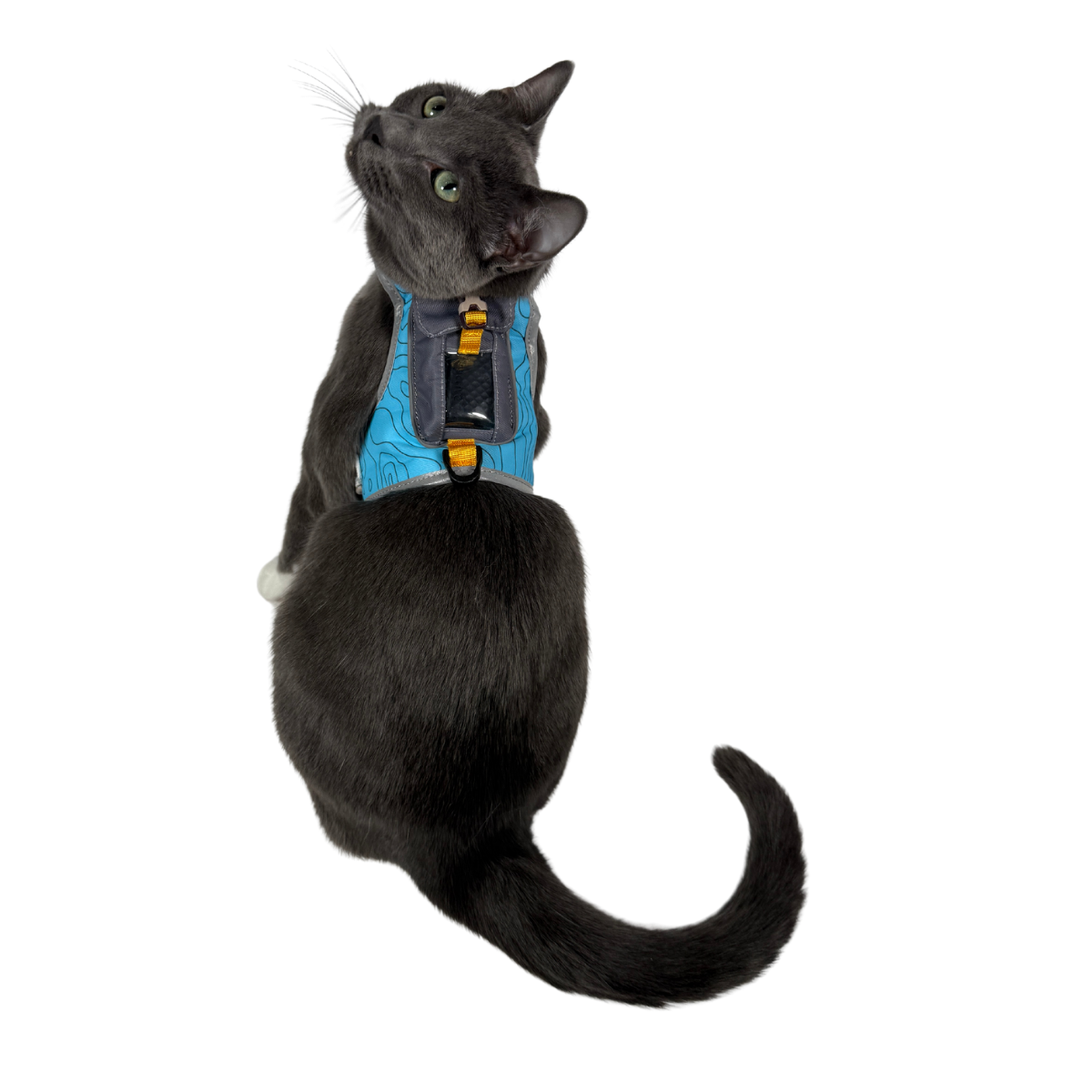 "The Pathfinder" Cat Harness & Tractive Cat GPS & Health Tracker Bundle