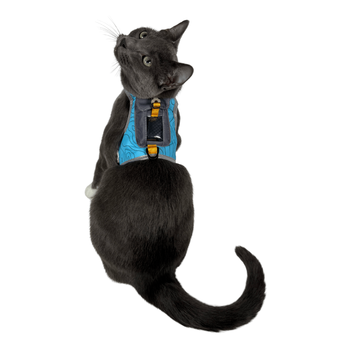"The Pathfinder" Cat Harness & Tractive Cat GPS & Health Tracker Bundle