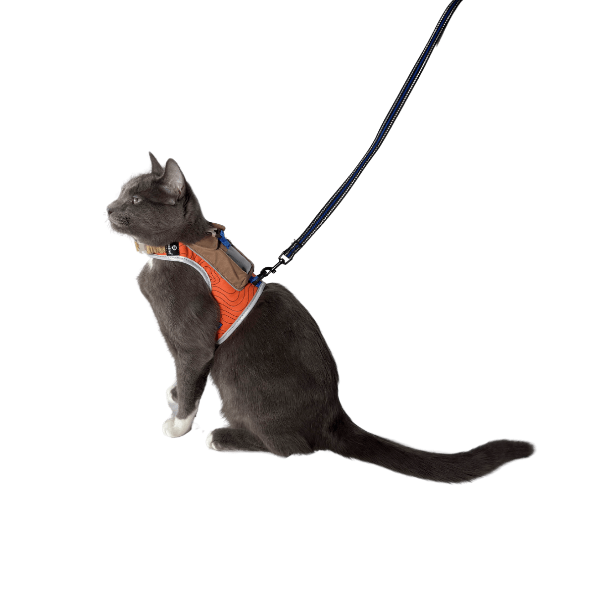 "The Pathfinder" Cat Harness & Tractive GPS Device Bundle