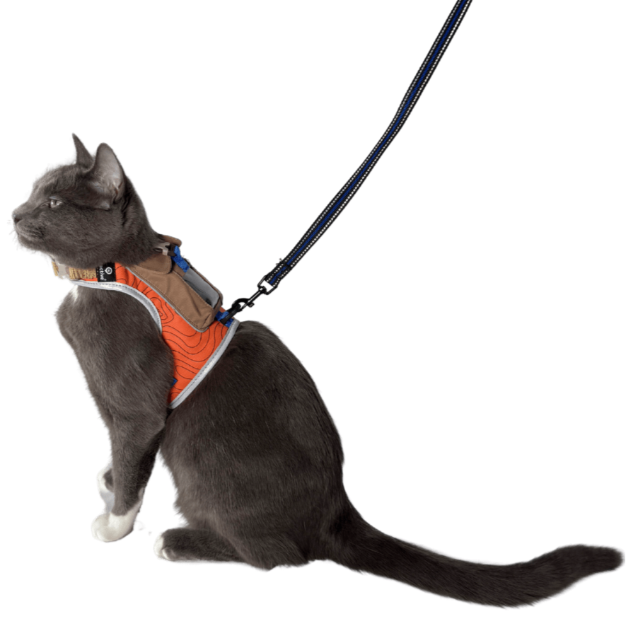 "The Pathfinder" Cat Harness with GPS Tracker Pocket - Powered by Tractive