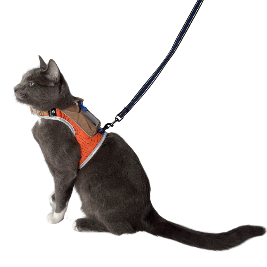 "The Pathfinder" Cat Harness & Tractive GPS Device Bundle