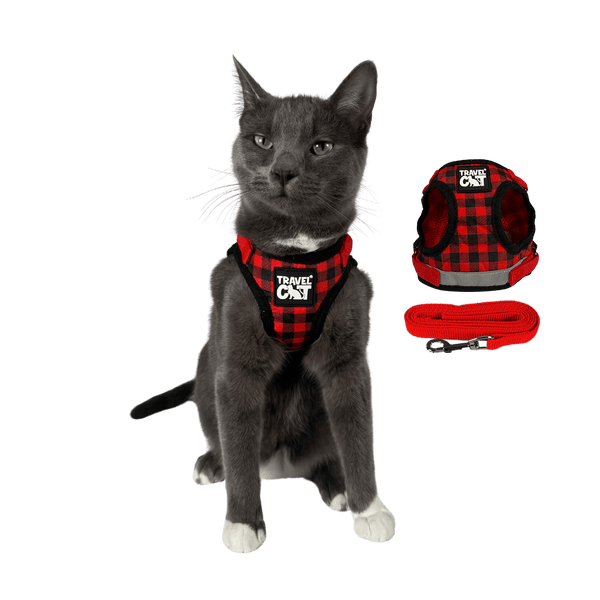 "The True Adventurer" Reflective Cat & Kitten Harness and Leash - The Pawsitively Plaid