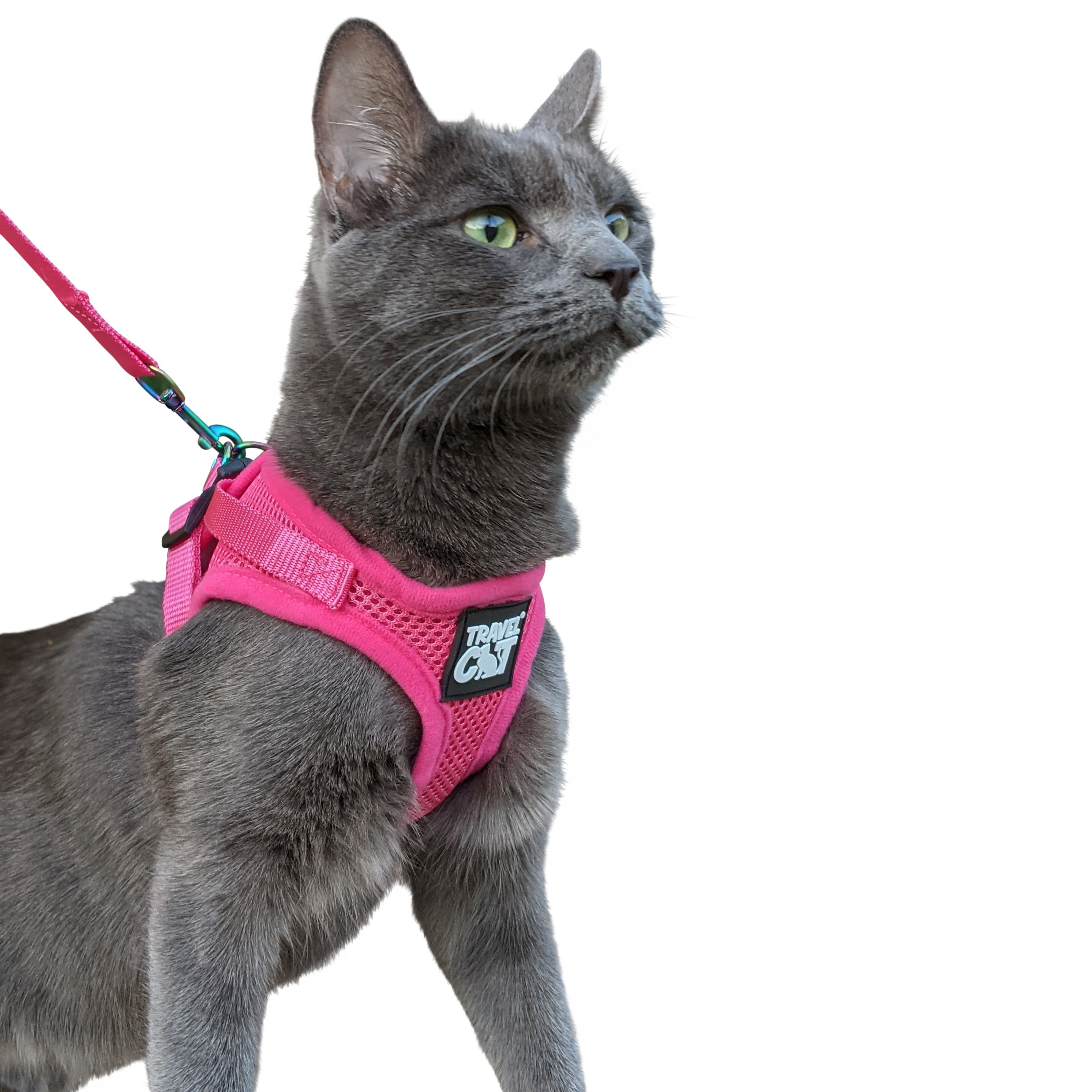 "The Purrfectly Pink" Iridescent Limited-Edition Harness & Leash Set