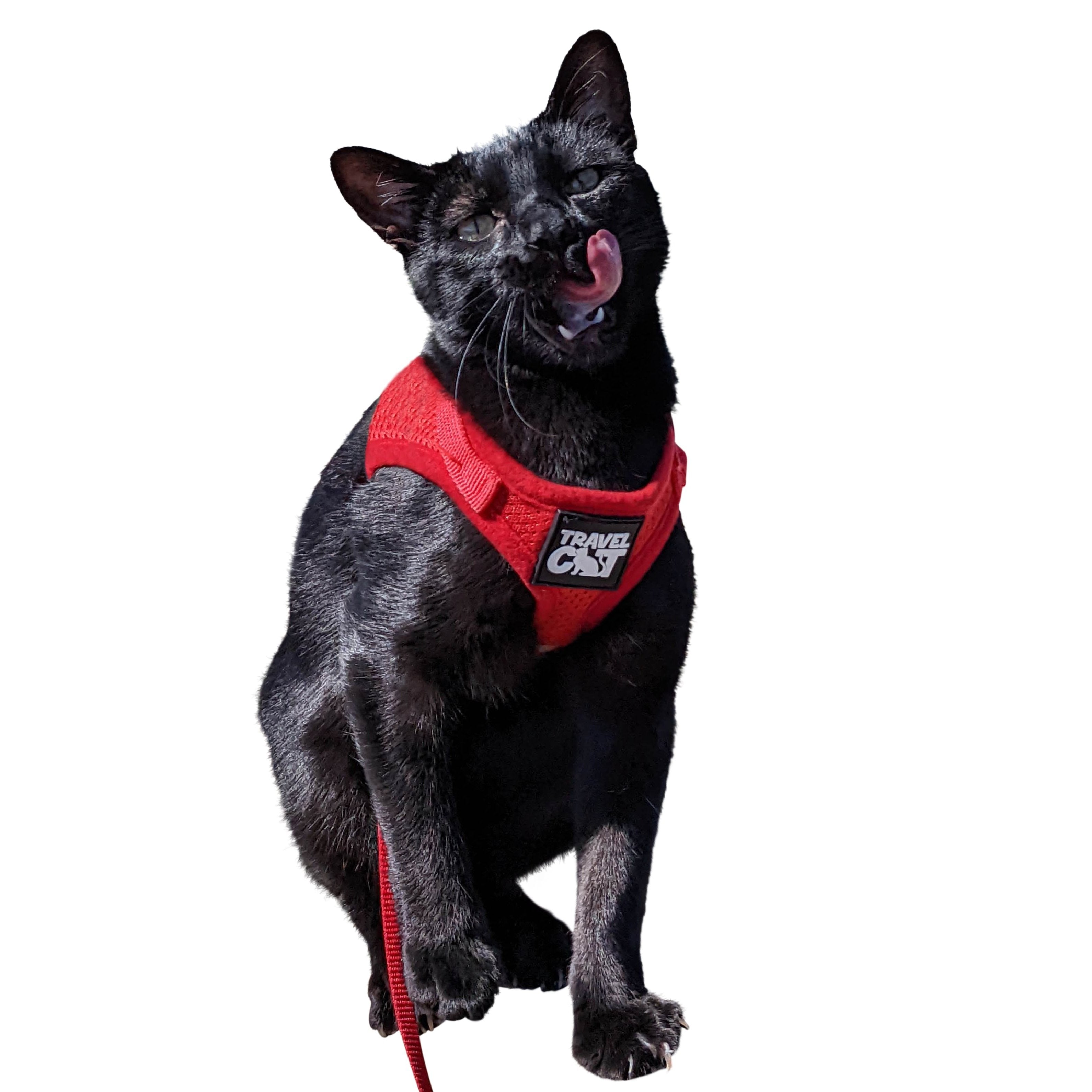 The Red True Adventurer" Reflective Cat & Kitten Harness and Leash