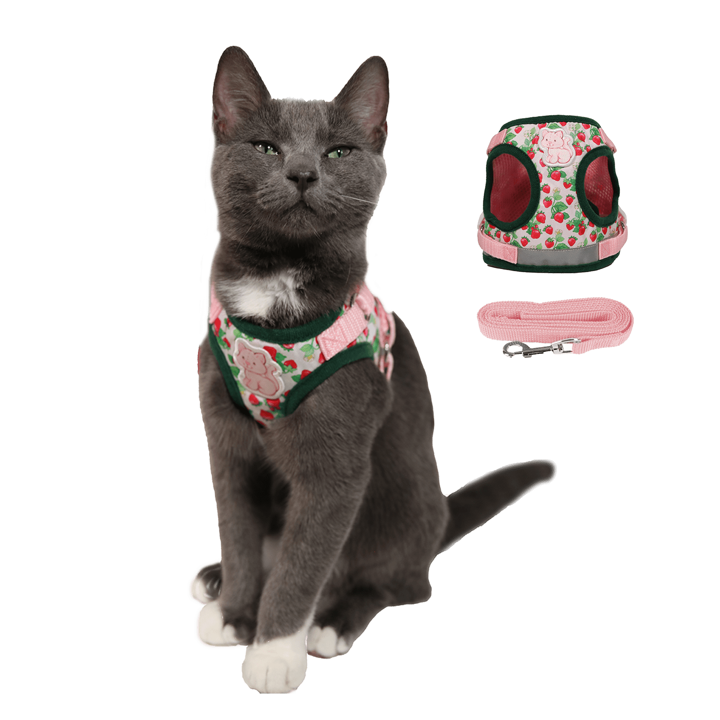 Strawberry Shortcake x Travel Cat Harness & Leash Set - Officially Licensed