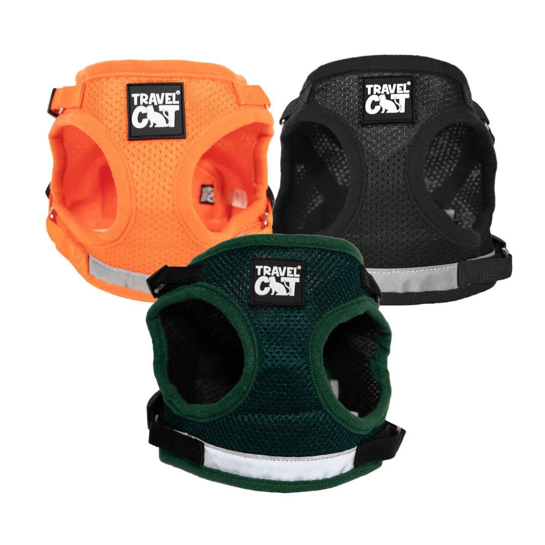 Halloween Pawty Harness Bundle - Harness & Leash Sets