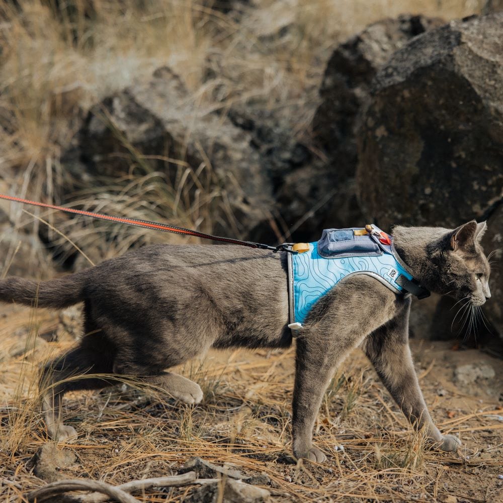 Travel Cat The Pathfinder Cat Harness with GPS Tracker Pocket Powered by TRACTIVE Cat Harness Escape Proof Walking Escape Proof Cat Harness for