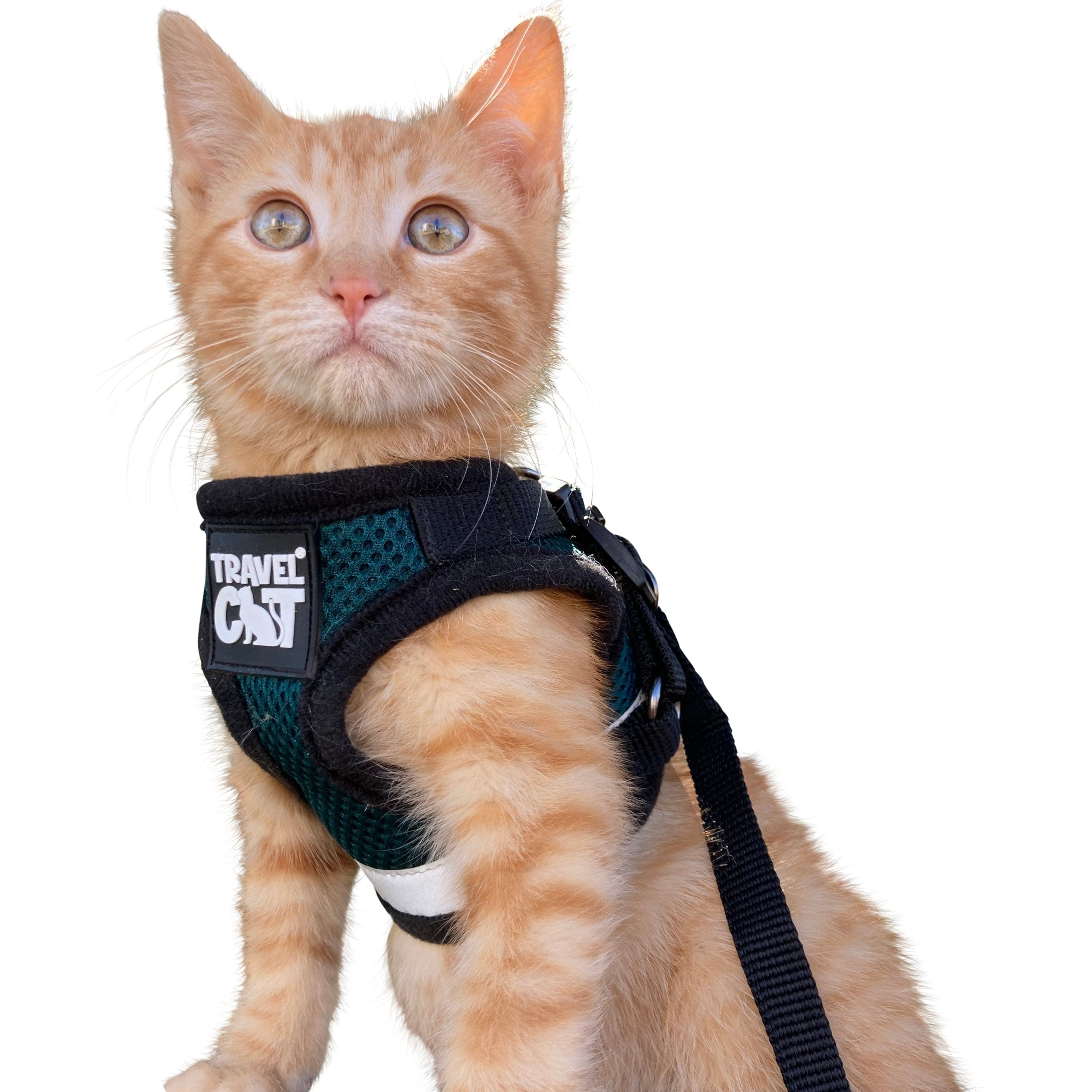 "The Emerald Explorer" Limited Edition Green Cat Harness