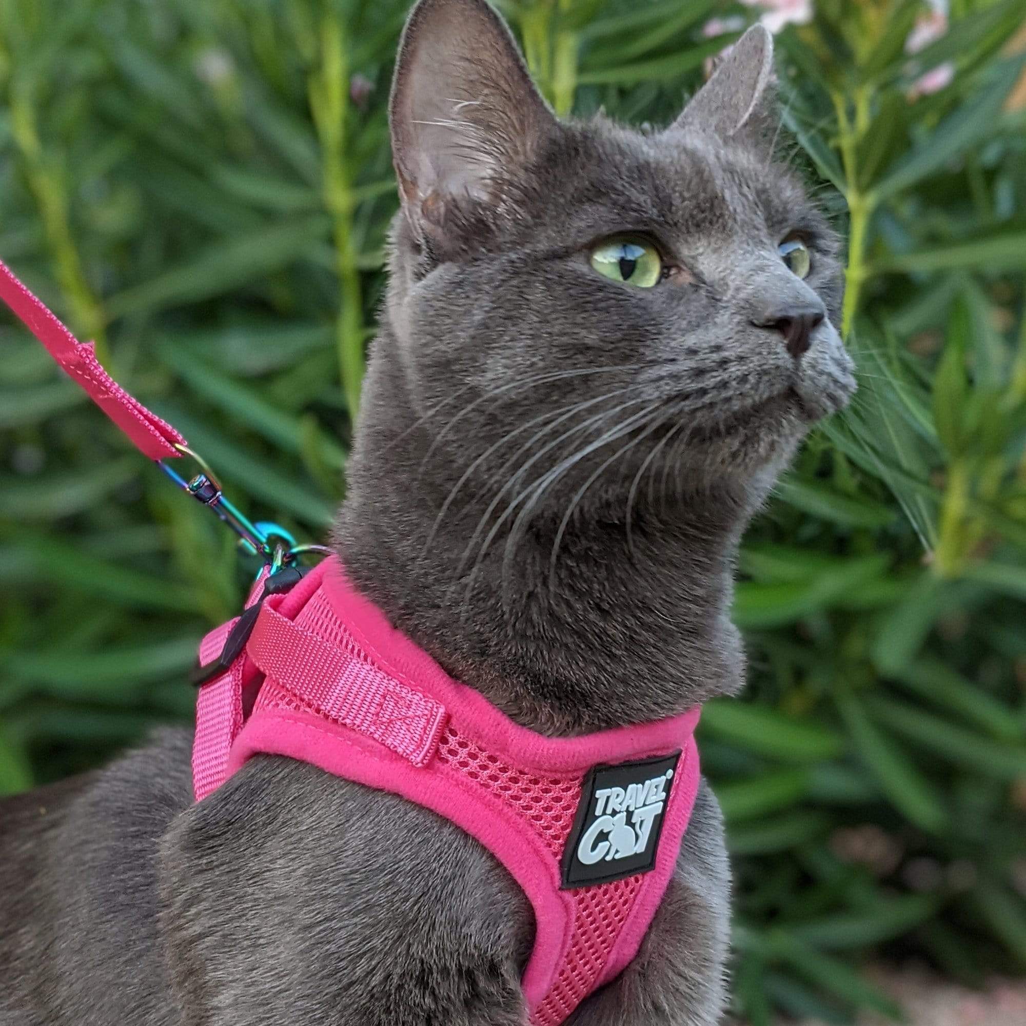 "The Purrfectly Pink" Iridescent Limited-Edition Harness & Leash Set