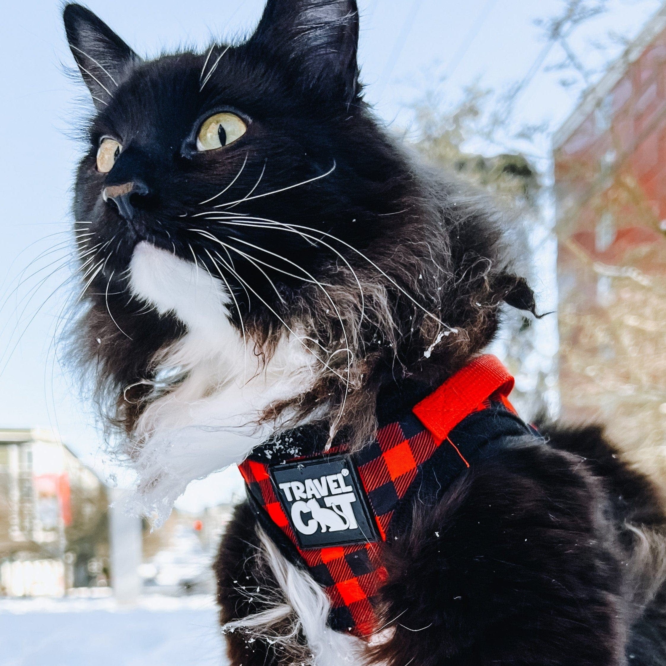 "The Pawsitively Plaid" Limited Edition Buffalo Plaid Cat Harness