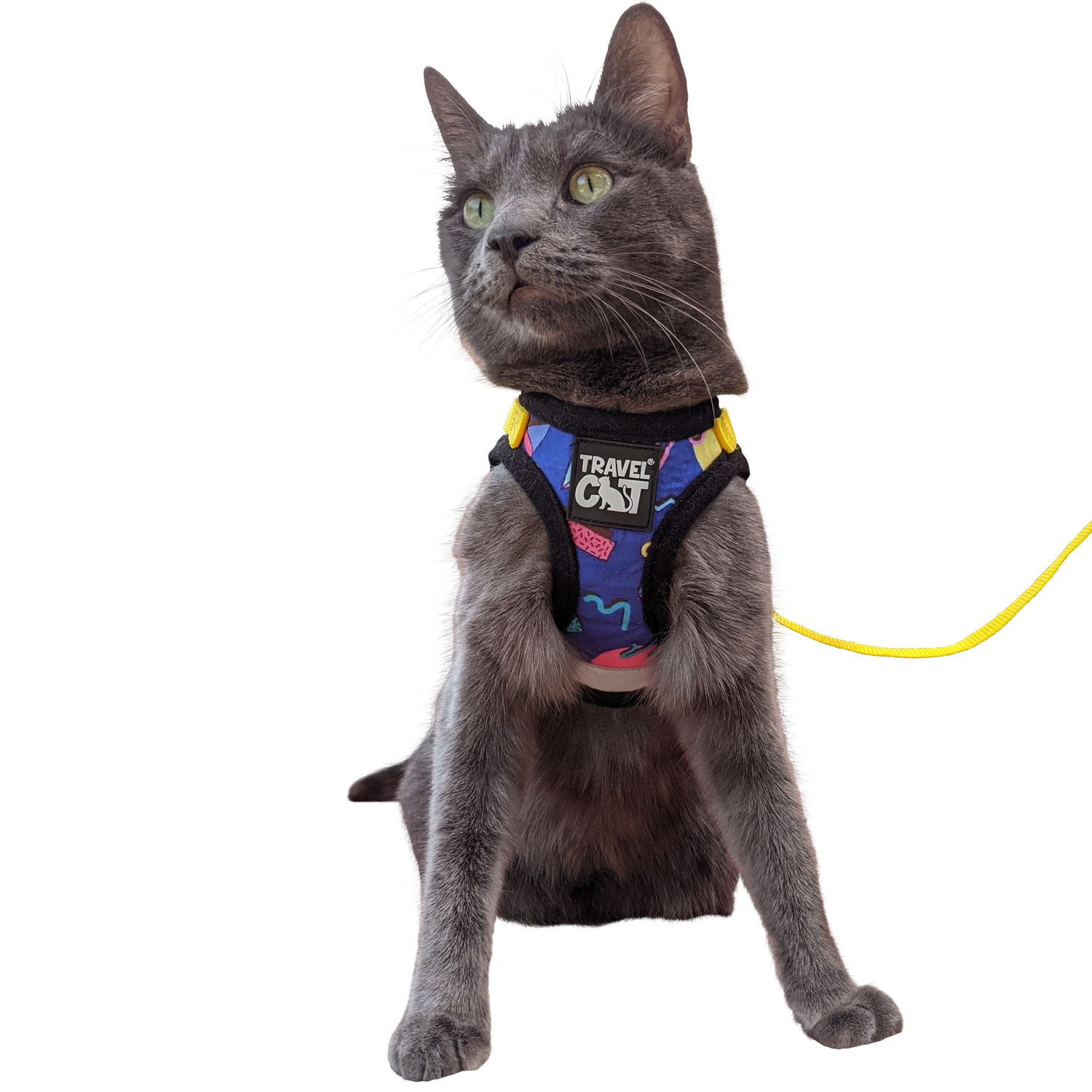 "The '90s Cat" Limited-Edition Harness & Leash Set