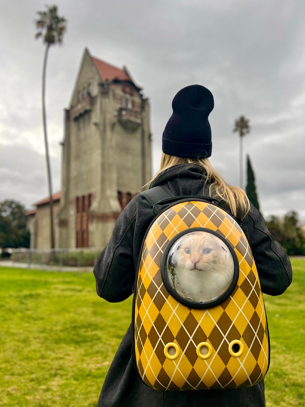 Cat Backpack Rust Argylle x Travel Cat Replica Cat Backpack - Officially Licensed