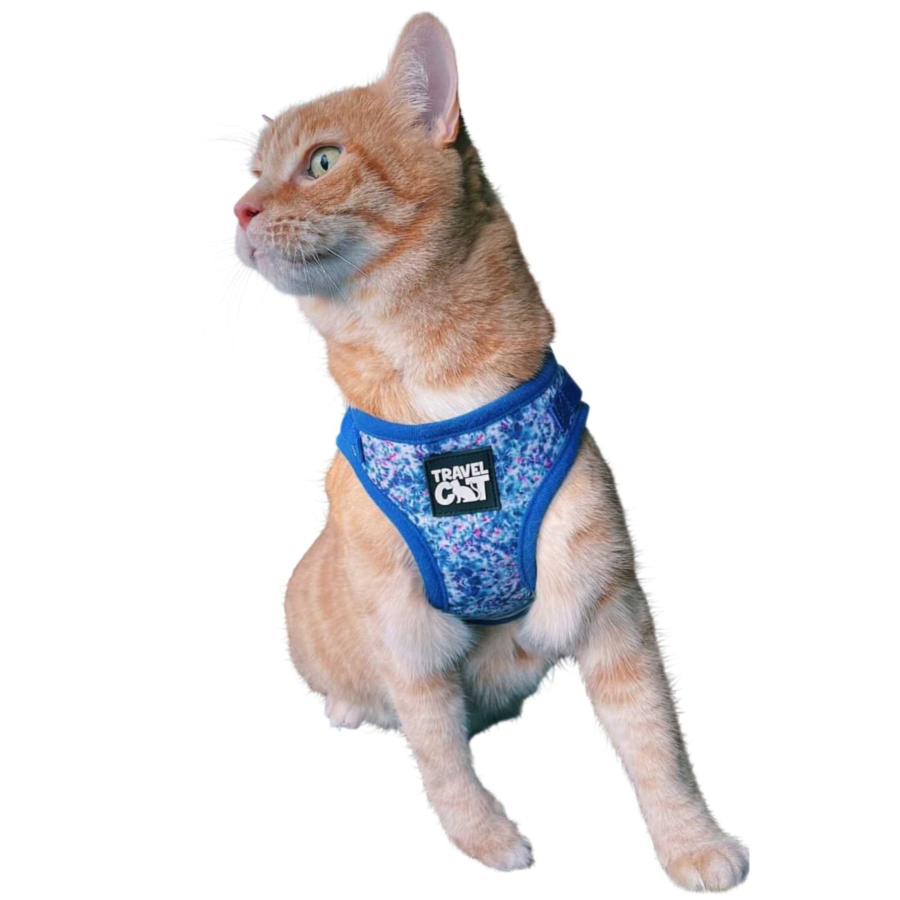 "The Groovy Cat" Tie Dye Limited Edition Harness & Leash Set