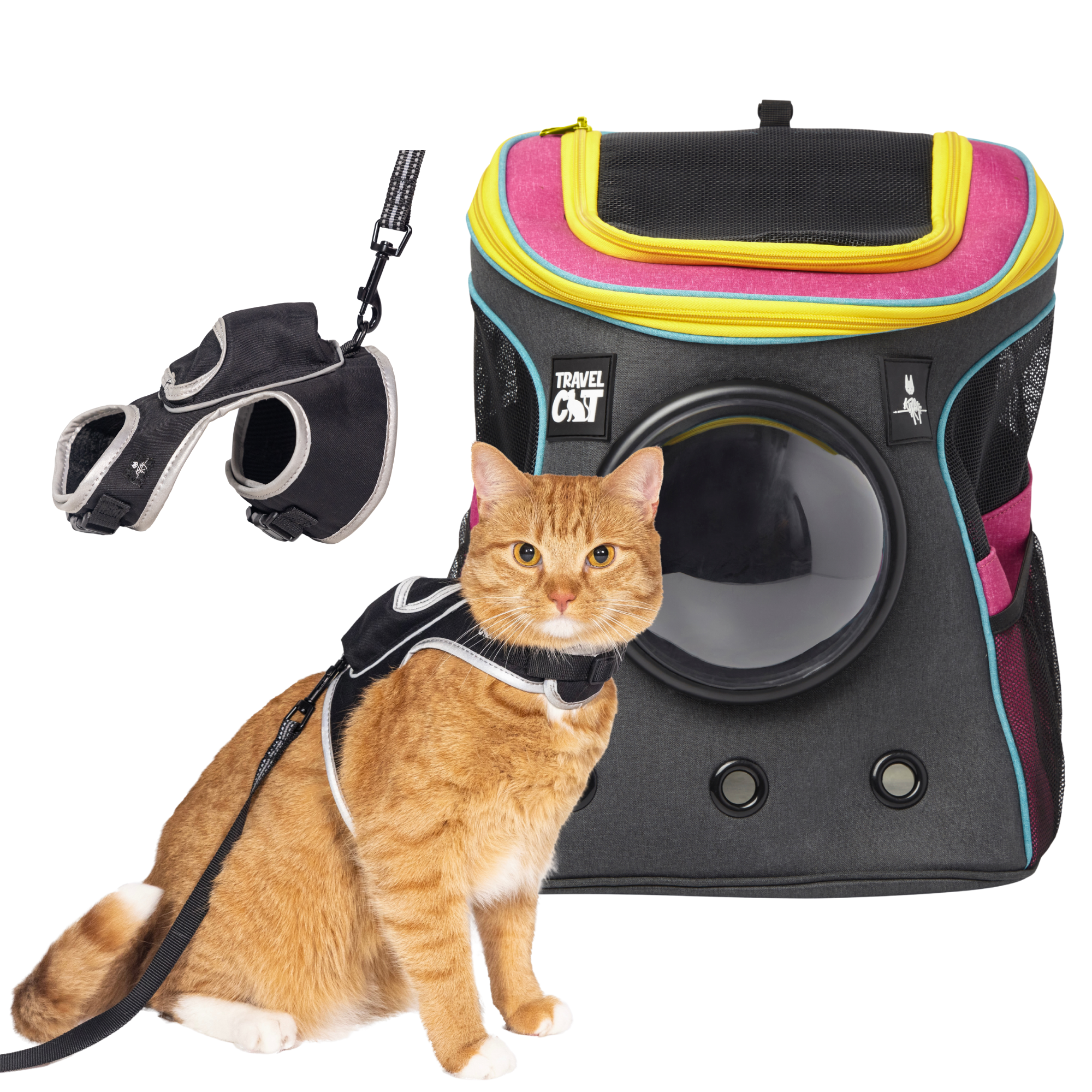 Stray Backpack & Harness Bundle