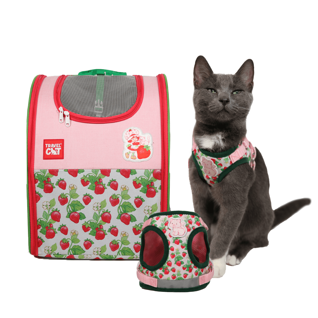 Strawberry Shortcake x Travel Cat  Bundle - Officially Licensed