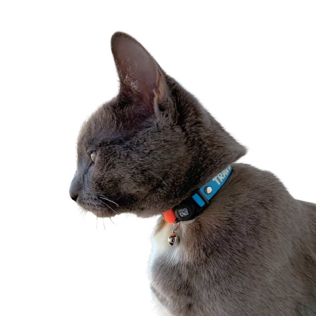 "The Fancy Cat" Silicone Breakaway Collar