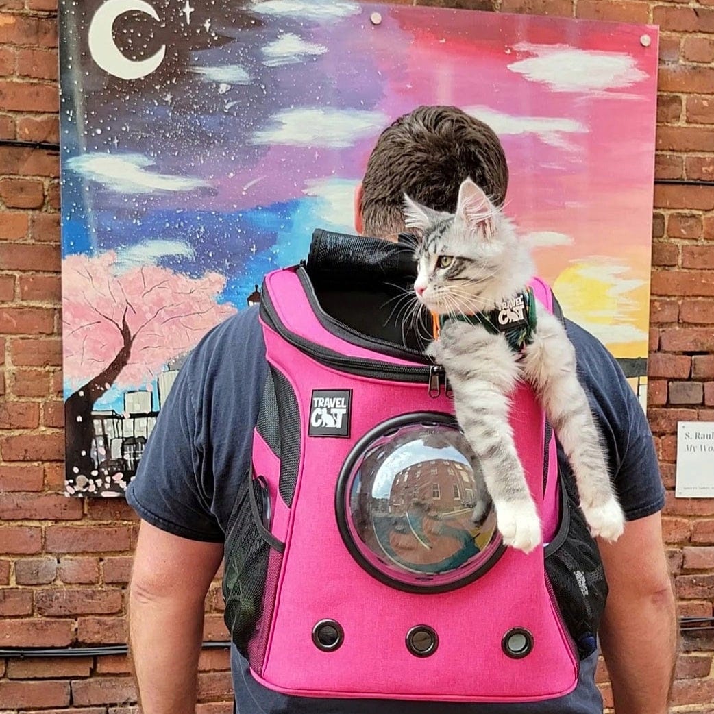 "The Fat Cat" Cat Backpack - For Larger Cats