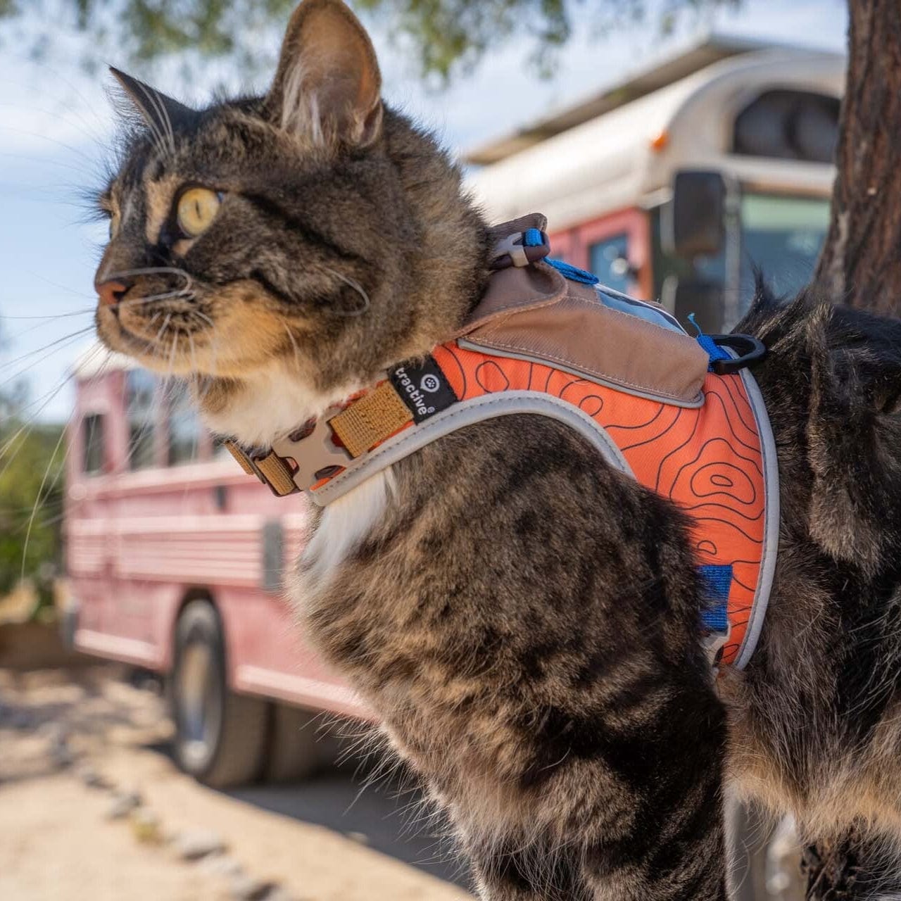 "The Pathfinder" Cat Harness & Tractive GPS Device Bundle