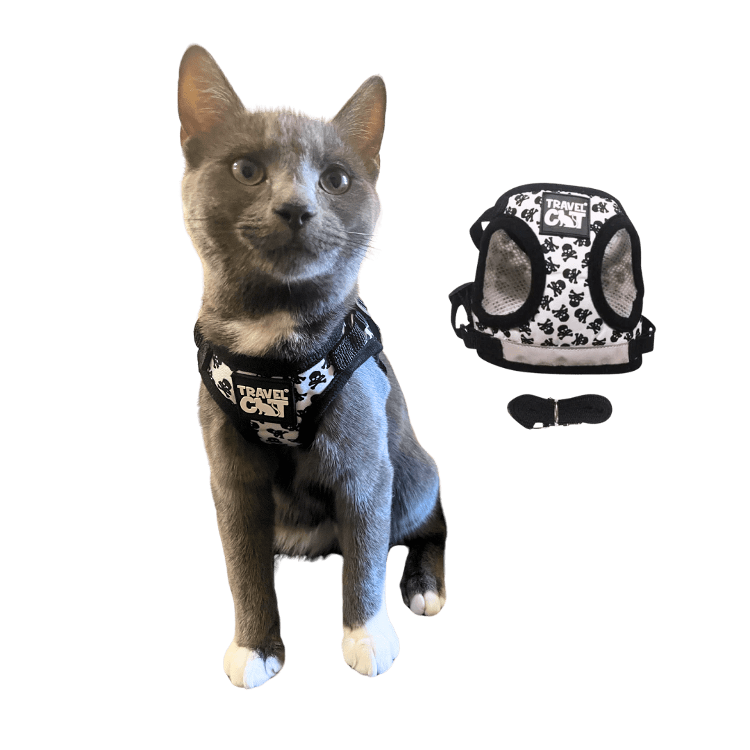 "The True Adventurer" Reflective Cat & Kitten Harness and Leash