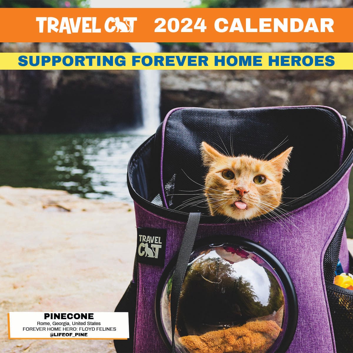 Travel Cat Calendar Supporting Forever Home Heroes 2024