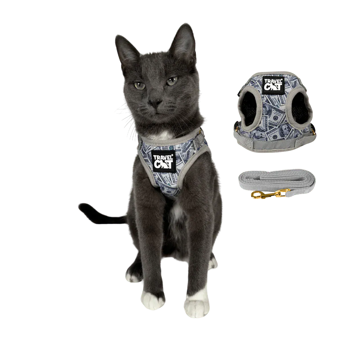 Build Your Own Cat Backpack and Harness Bundle