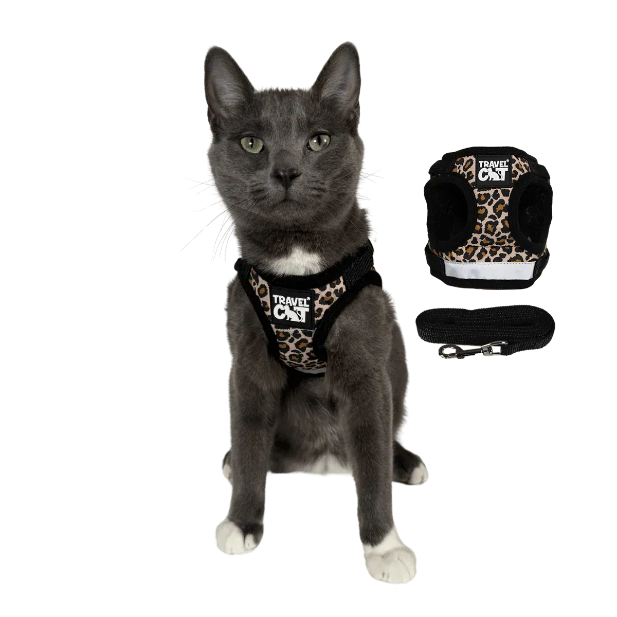 Build Your Own Cat Backpack and Harness Bundle