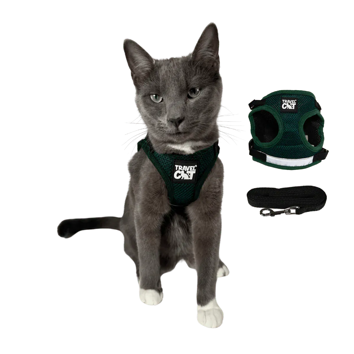 Build Your Own Cat Backpack and Harness Bundle