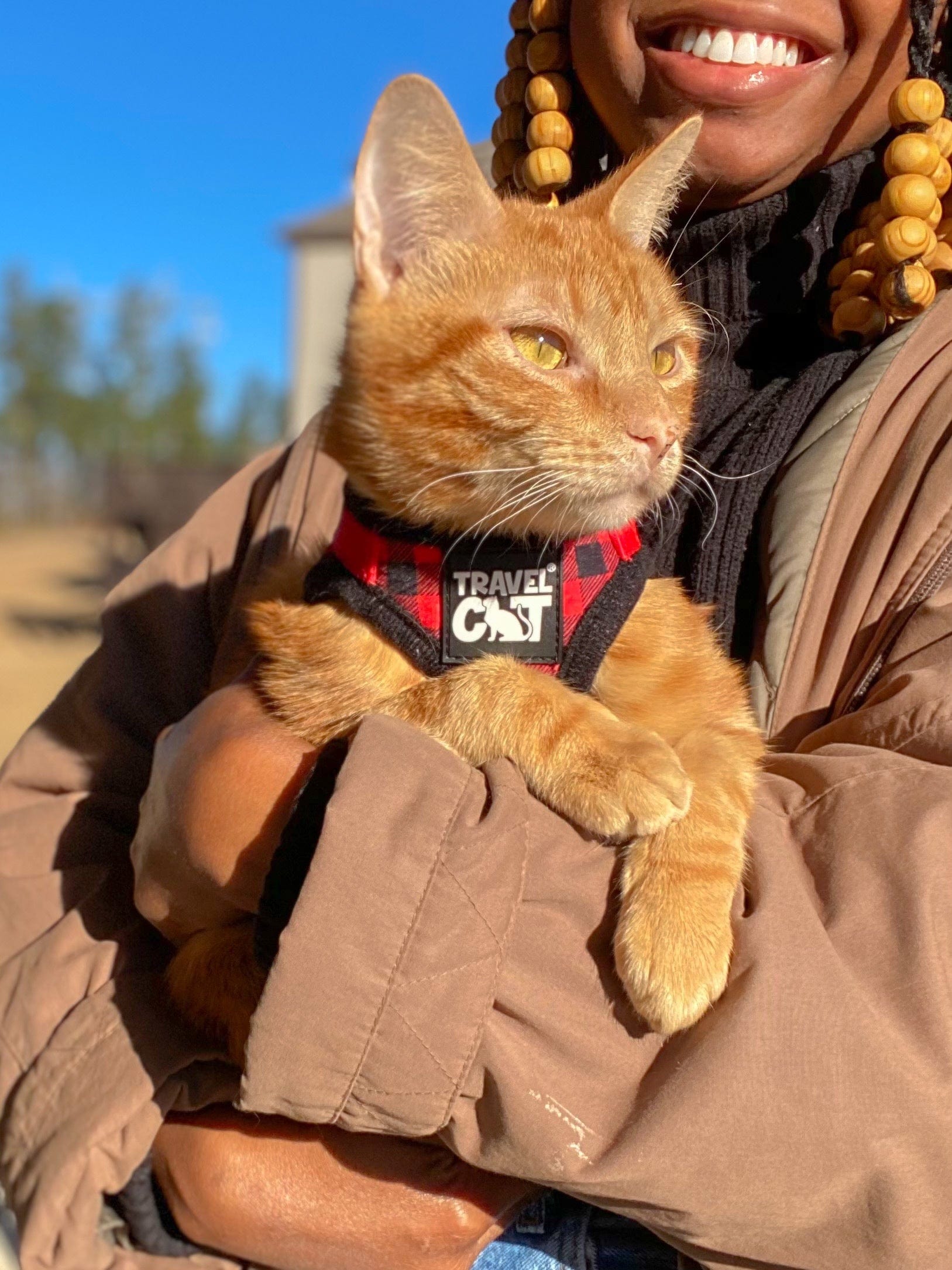 "The True Adventurer" Reflective Cat & Kitten Harness and Leash