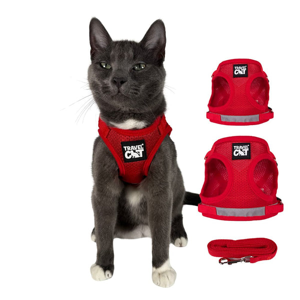 "You’re Kitten Me" Harness Bundle