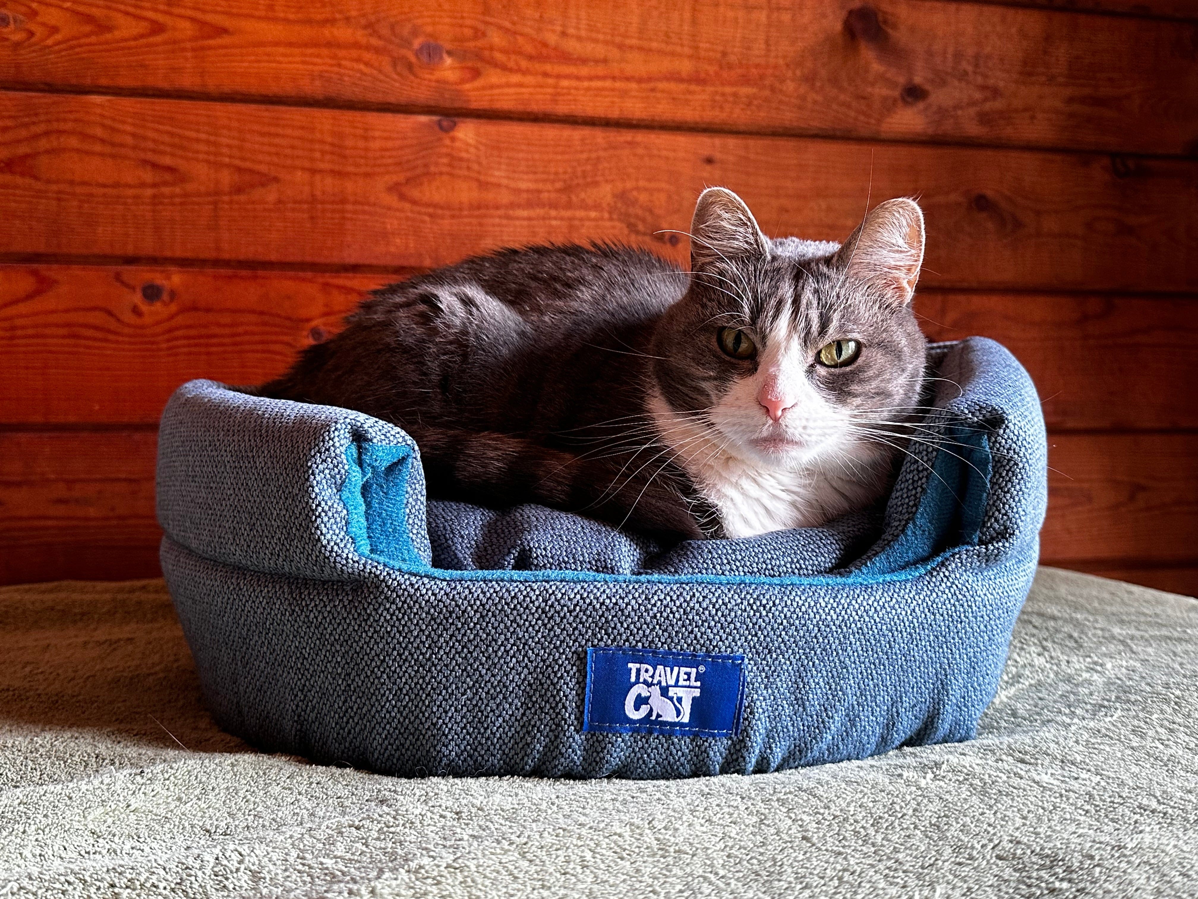 The Fat Cat