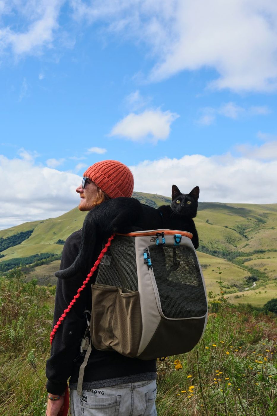 Black cat peeking out of the Navigator on a hillside hike