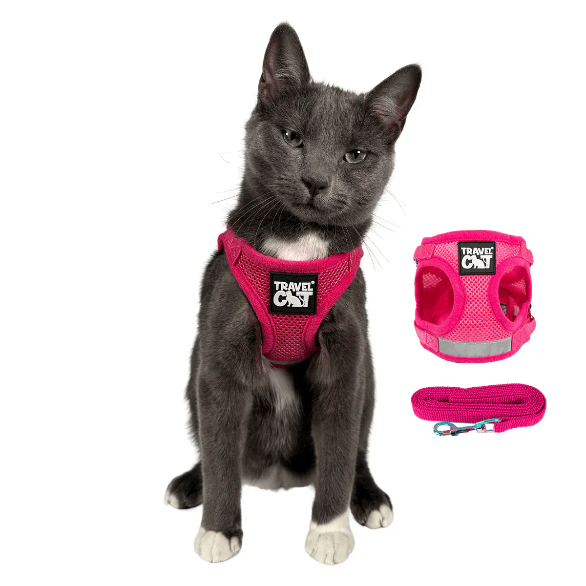 Build Your Own Cat Backpack and Harness Bundle