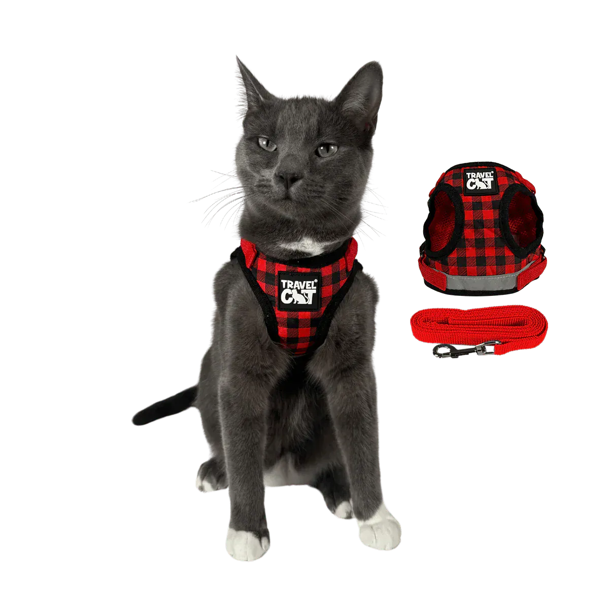 Build Your Own Cat Backpack and Harness Bundle