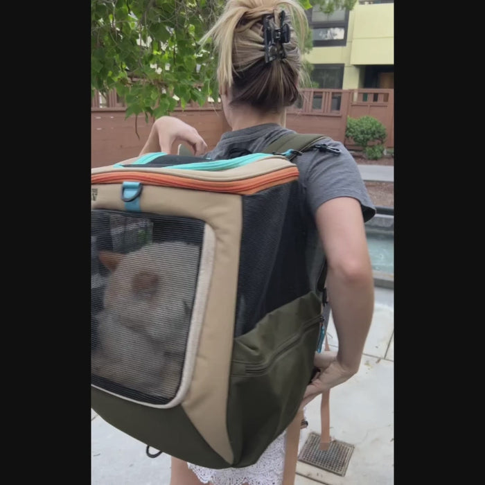"The Navigator" Earth Convertible Cat Backpack For Adventurous Cats