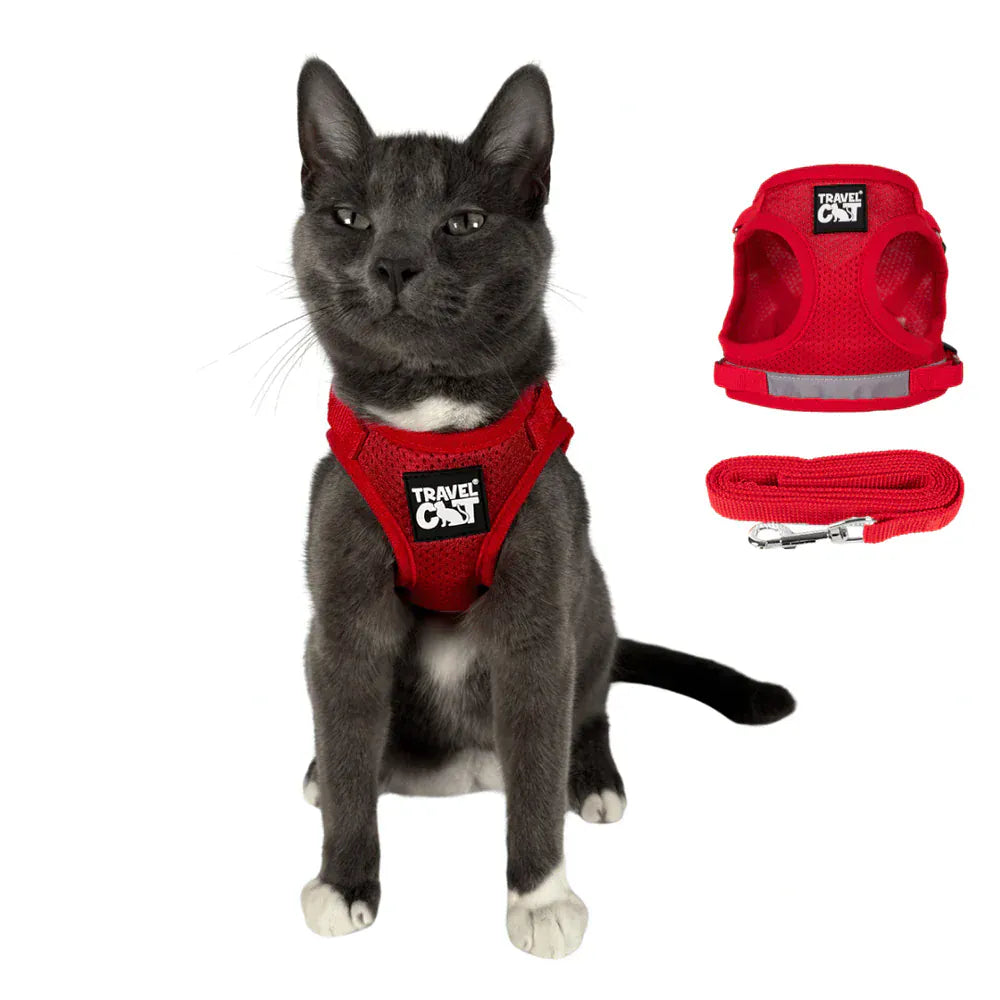 Build Your Own Cat Backpack and Harness Bundle