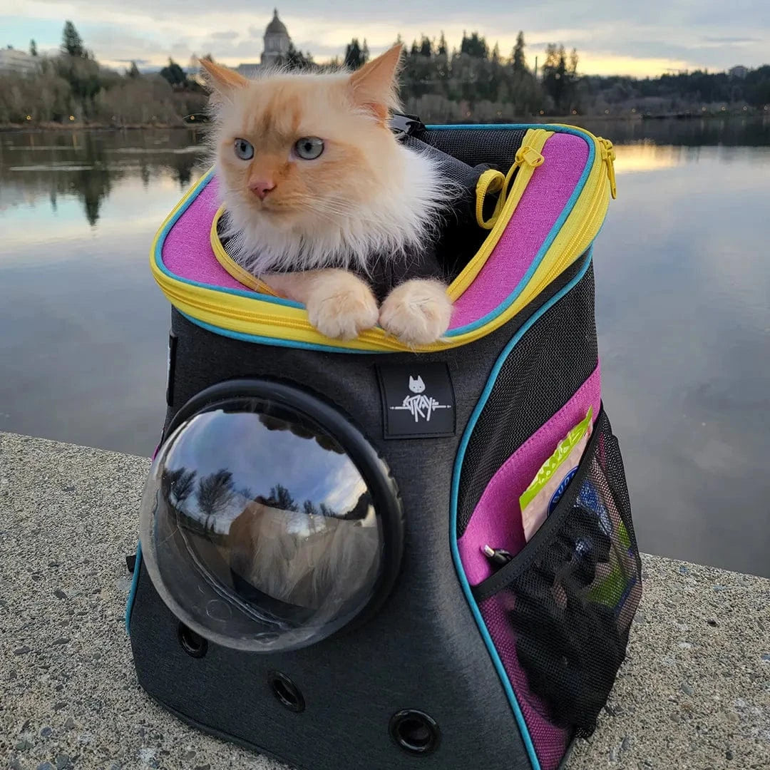 Stray Backpack & Harness Bundle