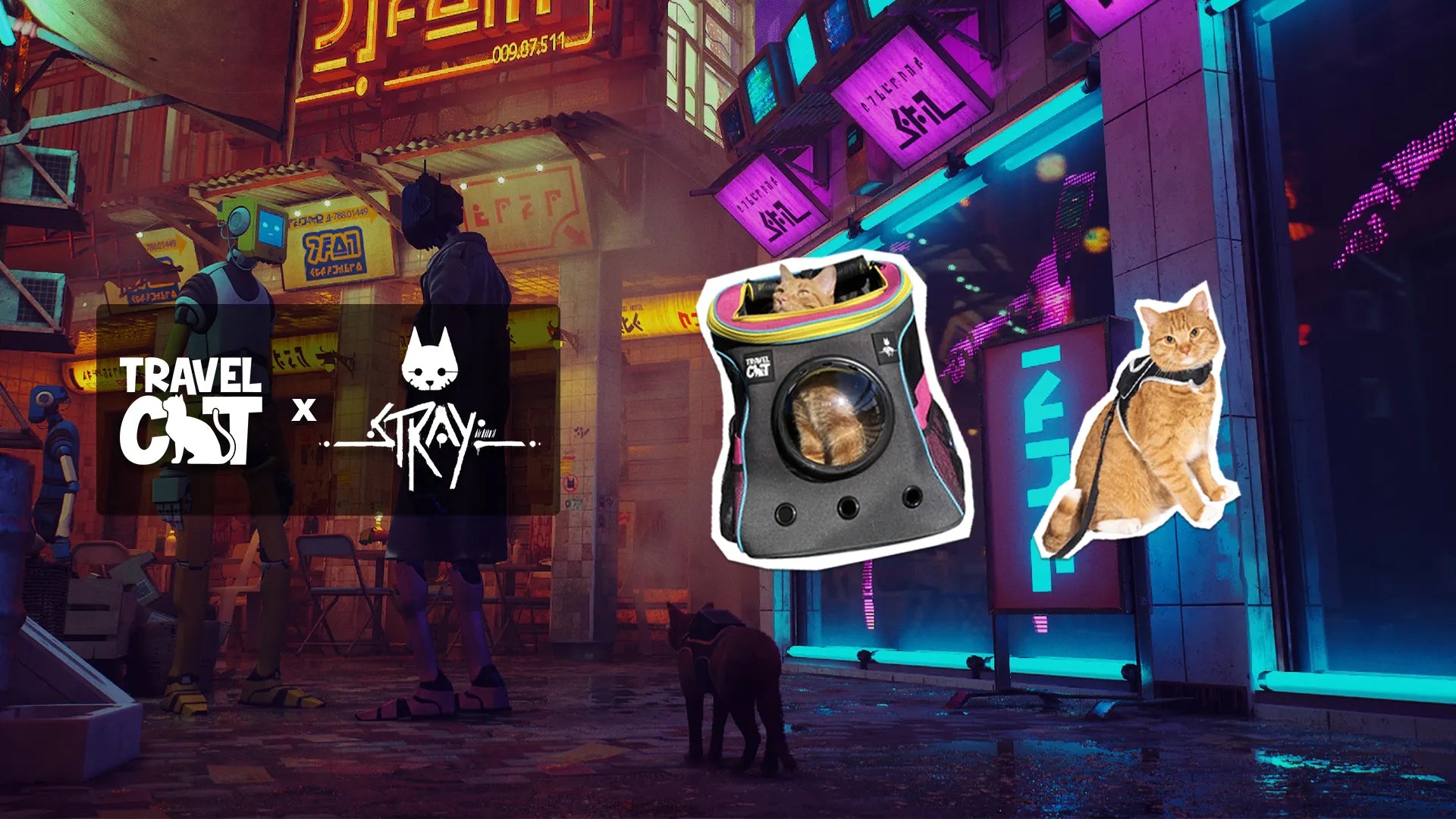 The Stray X Travel Cat Collection