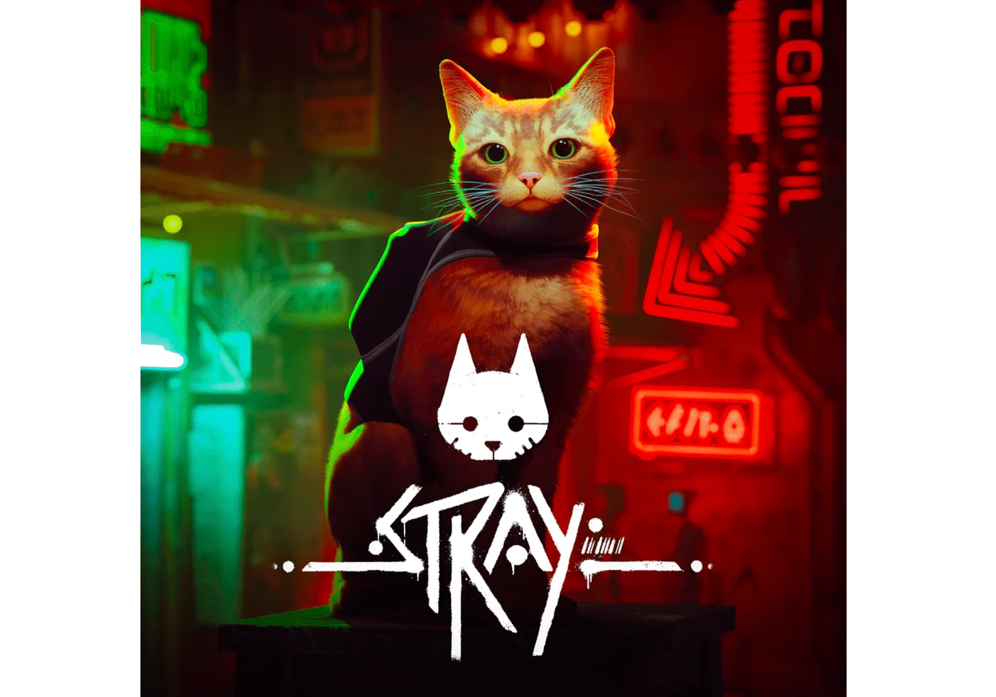 Stray Is On Xbox Now, Just Like Your Cat